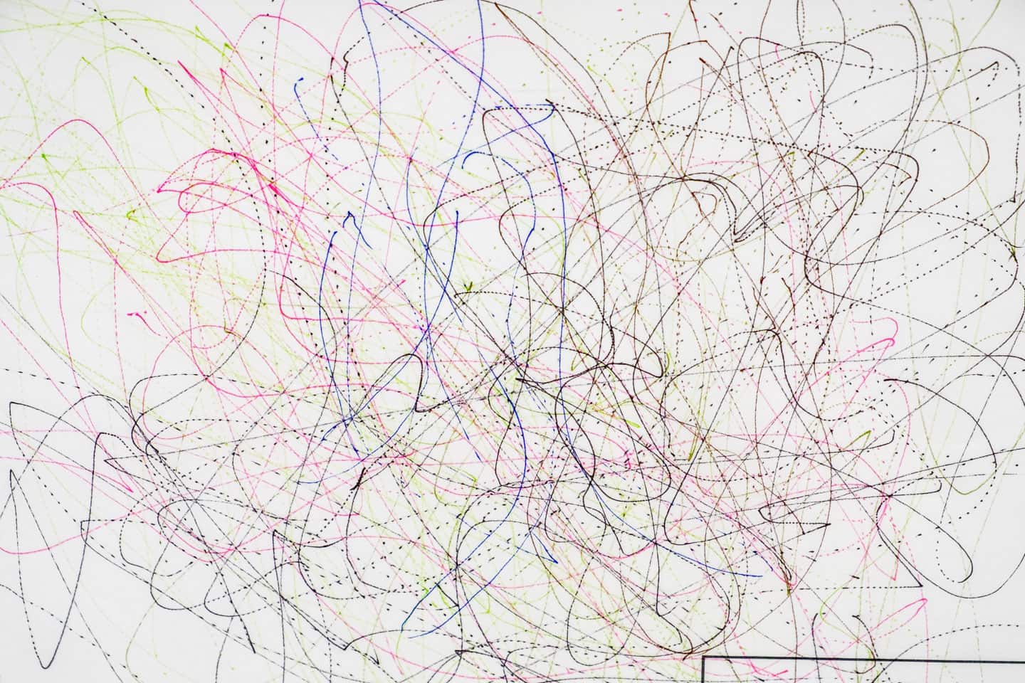 Luis Jacob at Patel Brown